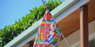 Колко нива има в Duolingo