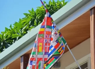 Колко нива има в Duolingo